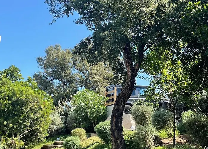 La Vesta Vecchio *